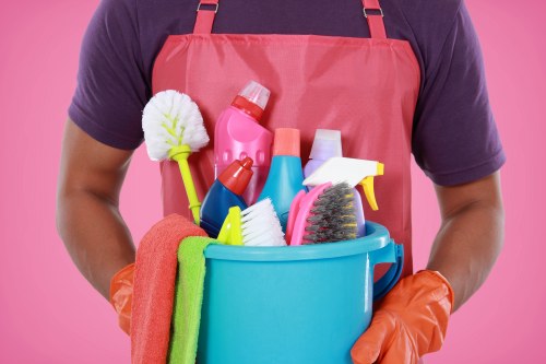 Professional carpet cleaning service in an E9 home