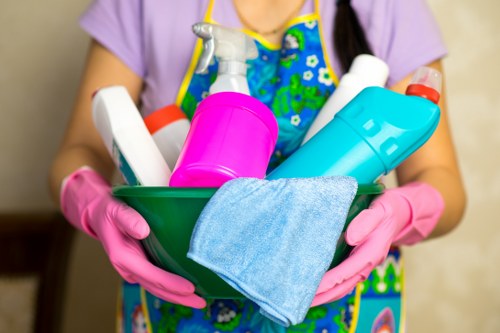 Cleaner in E9 servicing a local home with careful attention to detail