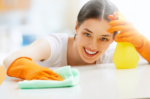 Deep cleaning for a home in the E9 area