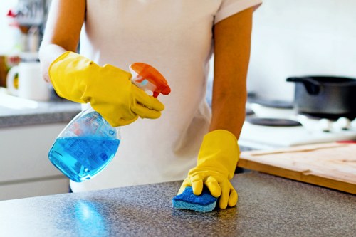 Professional deep cleaning for flats and houses in E9
