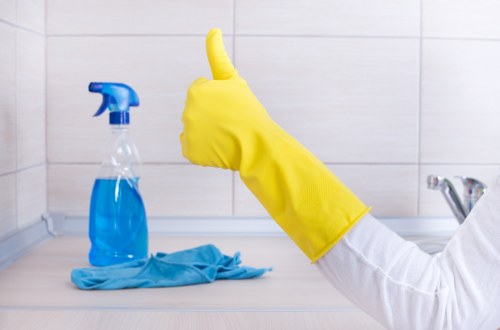 Regular home cleaning service for East London residents