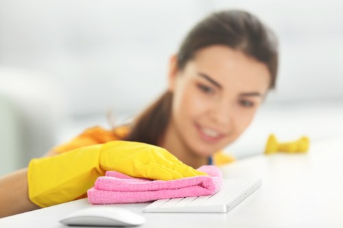 Close-up of a rug being treated for stains and dirt