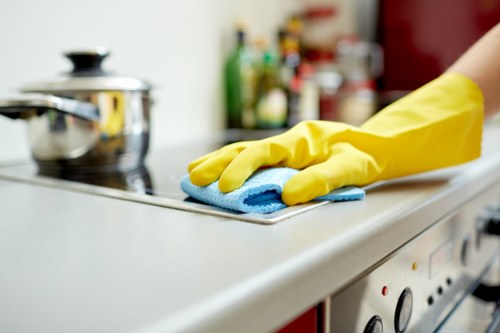 Deep cleaning of oven trays and racks for an E9 customer