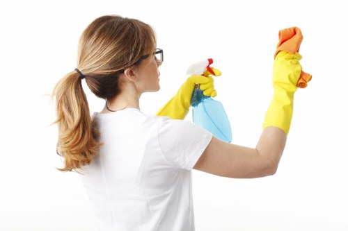 Professional move-out cleaning checklist for tenants in E9