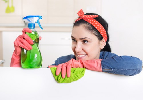 Local oven cleaner working in a kitchen with access challenges in E9