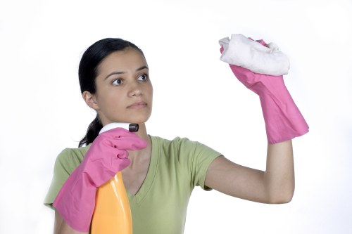 Window cleaning equipment used for properties in E9